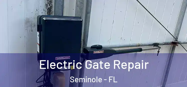 Electric Gate Repair Seminole - FL