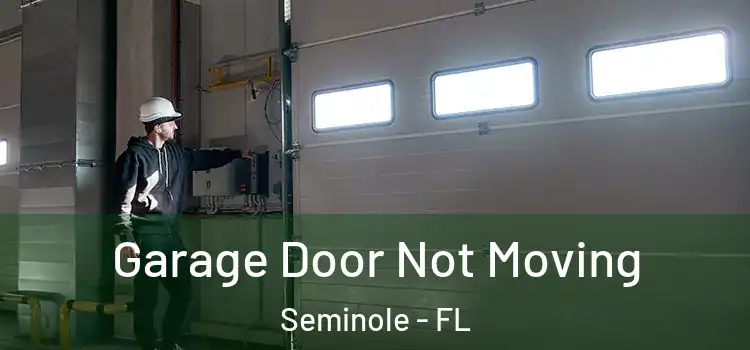  Garage Door Not Moving Seminole - FL