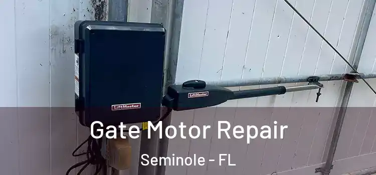 Gate Motor Repair Seminole - FL