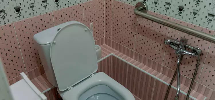 Meeting Diverse Needs With Accessible Restroom Solutions in Seminole, FL