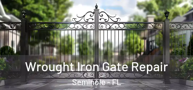 Wrought Iron Gate Repair Seminole - FL